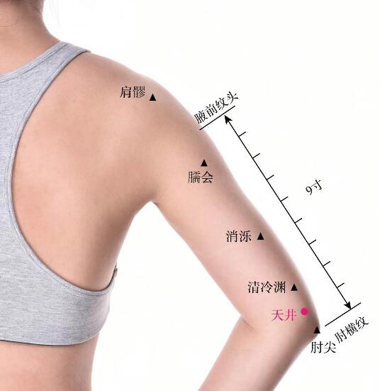 天井的準(zhǔn)確位置圖及視頻功效位位置圖