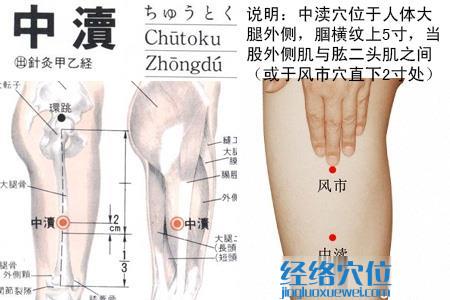 中瀆穴位位置圖