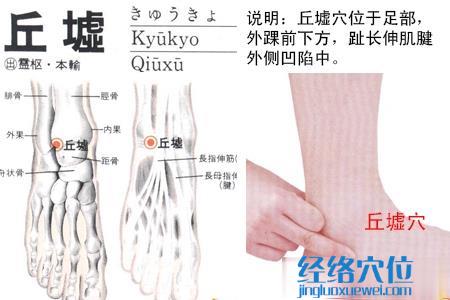 丘墟穴的位置圖