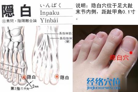 隱白穴位位置圖