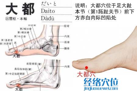 大都穴位位置圖