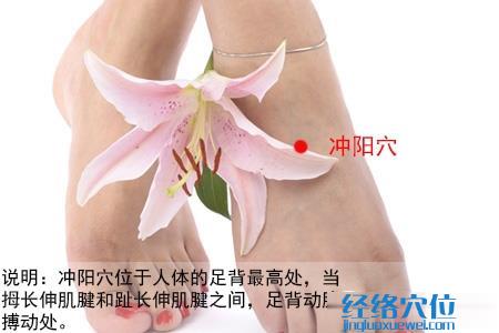 沖陽(yáng)穴位位置圖