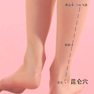 昆侖穴位位置圖