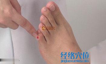 至陰穴位位置圖