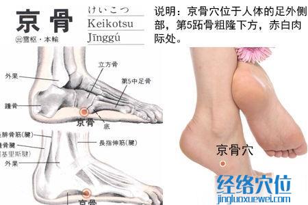 京骨穴位位置圖
