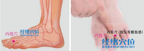 內(nèi)庭穴的準(zhǔn)確位置圖