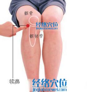 犢鼻穴的準(zhǔn)確位置圖