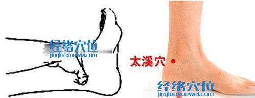 太溪穴的準確位置圖