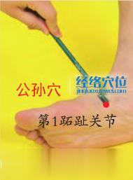 圖解公孫穴的位置圖