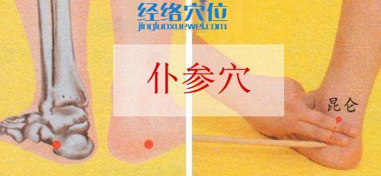 仆參穴的取穴方法示意圖