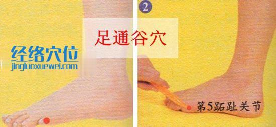 足通谷穴位位置圖