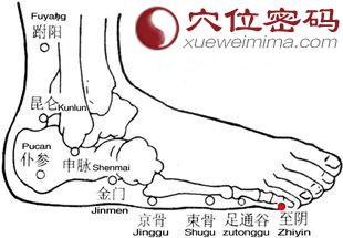 至陰穴的位置圖