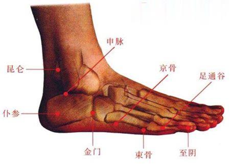 京骨穴、金門穴、束骨穴等穴位