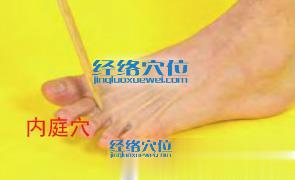 內(nèi)庭穴的位置圖