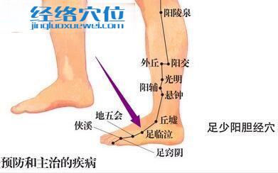 足臨泣穴位圖