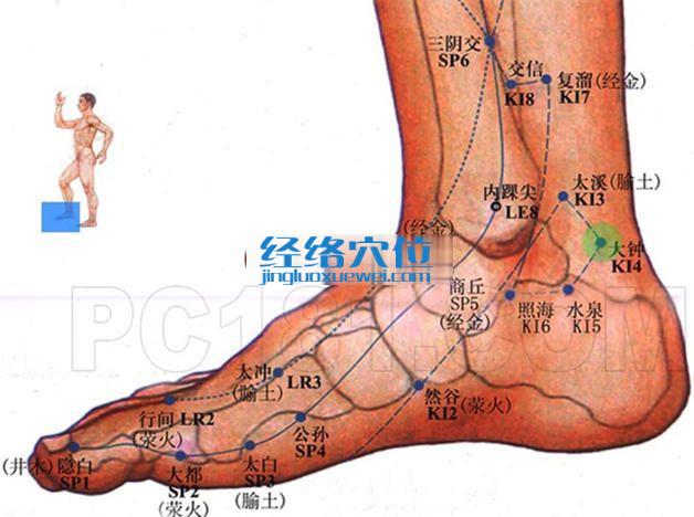 大鐘穴位位置圖