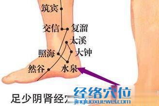 水泉穴位圖