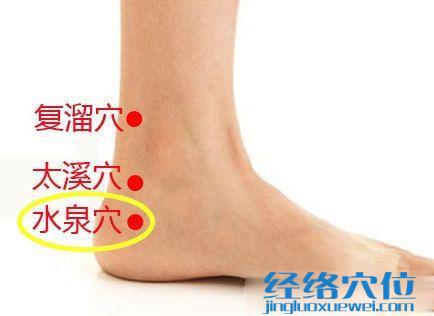 水泉穴位位置圖