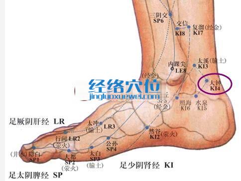 大鐘穴的位置圖