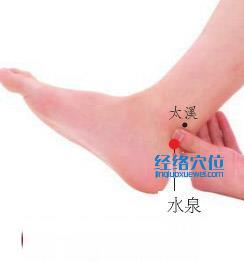水泉穴位位置圖