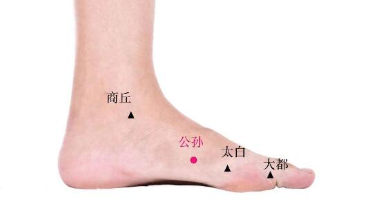 公孫的準(zhǔn)確位置圖及功效視頻位位置圖