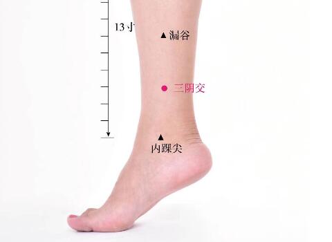 三陰交的準(zhǔn)確位置圖及功效視頻位位置圖