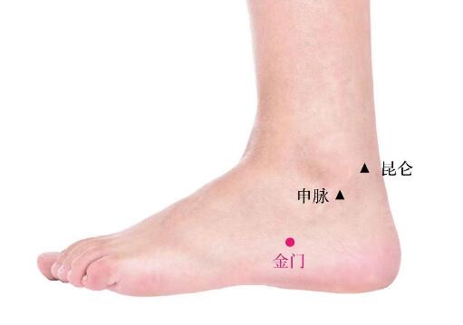 金門的準確位置圖及功效視頻位位置圖