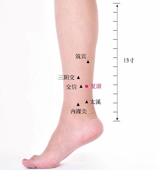 復溜的準確位置圖及視頻功效位位置圖