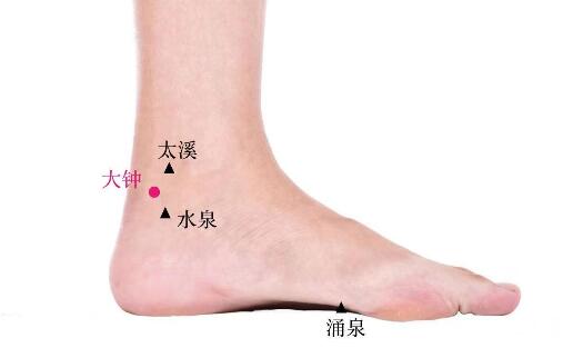 大鐘的準(zhǔn)確位置圖及功效視頻位位置圖