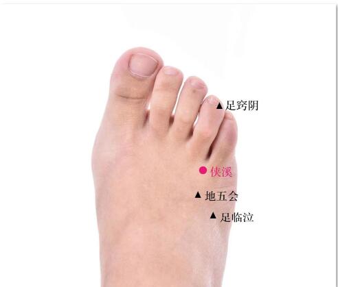 俠溪的準(zhǔn)確位置圖及功效視頻位位置圖