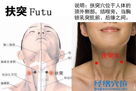 扶突穴位位置圖