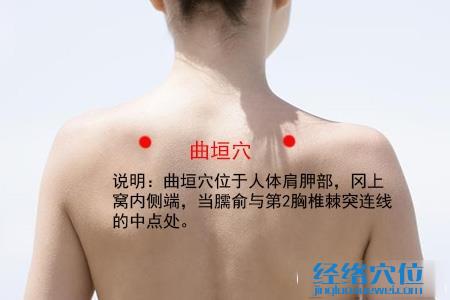 曲垣穴位位置圖