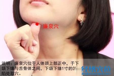 廉泉穴位位置圖