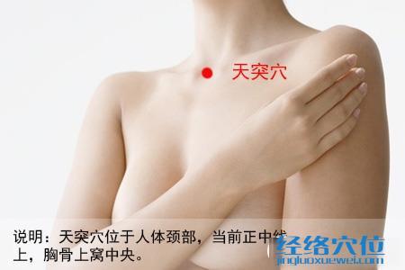 天突穴位位置圖