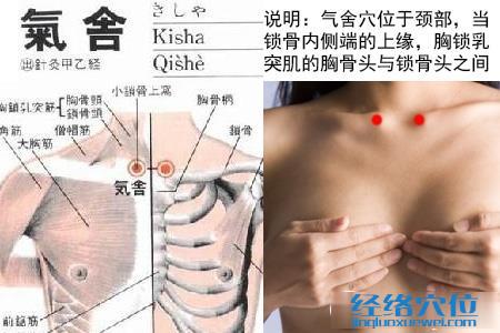 氣舍穴位位置圖
