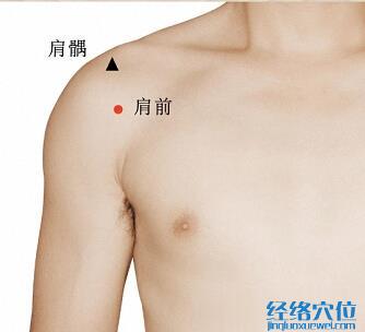 肩前穴位位置圖