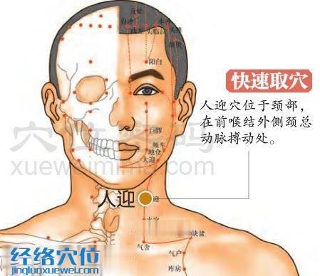 高清圖解人迎穴的準確位置圖