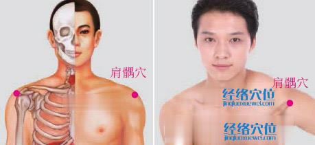 肩髃的準(zhǔn)確位置及功效視頻位位置圖