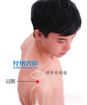 圖解肩髃穴的準(zhǔn)確位置圖