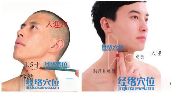人迎穴位位置圖