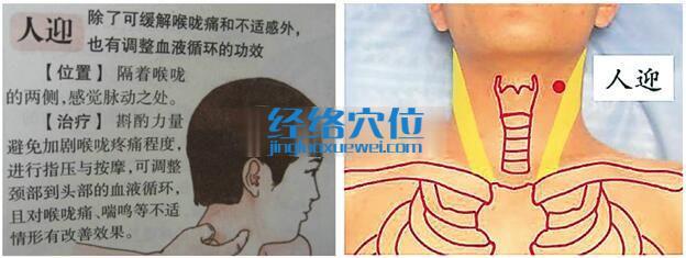 人迎穴位位置圖