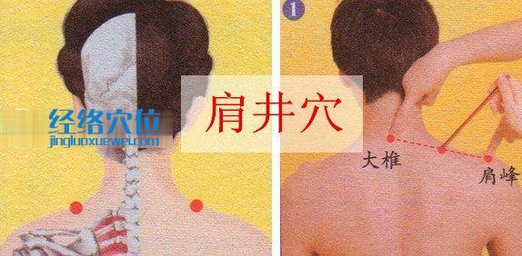 肩井穴位位置圖