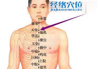 天突穴位位置圖