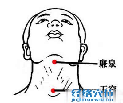 廉泉穴位位置圖