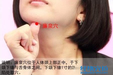 廉泉穴位位置圖