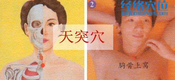 天突穴的準(zhǔn)確位置圖
