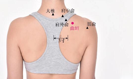 曲垣的準(zhǔn)確位置圖及功效視頻位位置圖