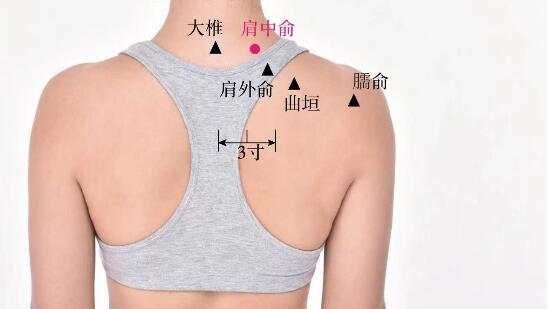 肩中俞的準確位置圖及功效視頻位位置圖