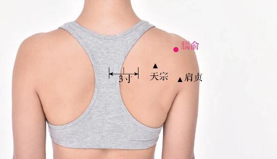 臑俞的準確位置圖及功效視頻位位置圖