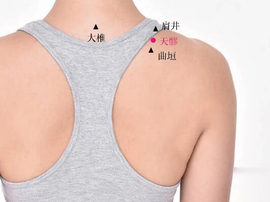 天髎的準(zhǔn)確位置圖及功效視頻位位置圖